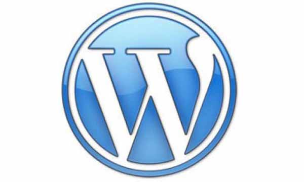 Wordpress Expert in Albuquerque | Rio Rancho | New Mexico | SEO | Search Engine Optimization