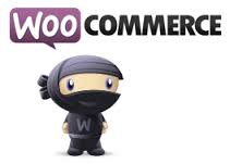 WooCommerce-Albuquerque-Shopping-Cart-Software